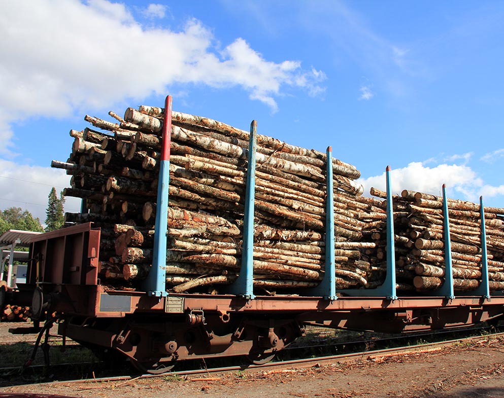 Transporting Wood on Railcars